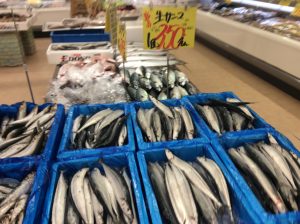 B0927B5C-971C-4B29-9CDD-EC1E1D8102BF