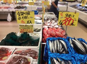 7F514E7C-CE4D-4A9B-B303-D7FC1885B75B