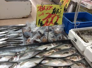 951B841A-CE09-4B15-8127-5B9E501957F4