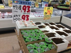 09902C6C-D2DE-4F02-87D2-39038648691B