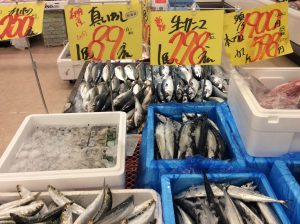 0CE9CFA3-1266-42D9-AFE5-523E4FDAA2AB