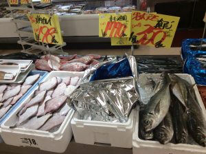 145C553B-6DB8-4699-97A4-BF8E9C1702C3