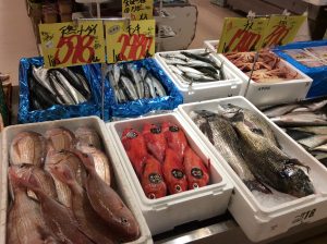 22E44CE2-3EB0-4908-876D-7A91FC15107A