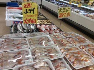 6D8DB2A4-68CC-44A2-9B1F-CAA89CDD594F