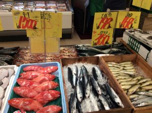 80624EB1-E49E-4E0A-BF03-D0D2AB28731E