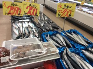 8D5C9184-153D-40FE-92E8-4ECD43D053EA