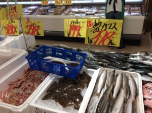 B85DC181-DA10-402B-8610-628FE2122BAB